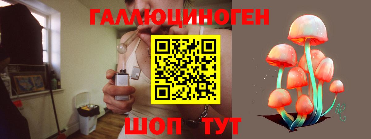 Псилоцибиновые грибы MAGIC MUSHROOMS Камышин