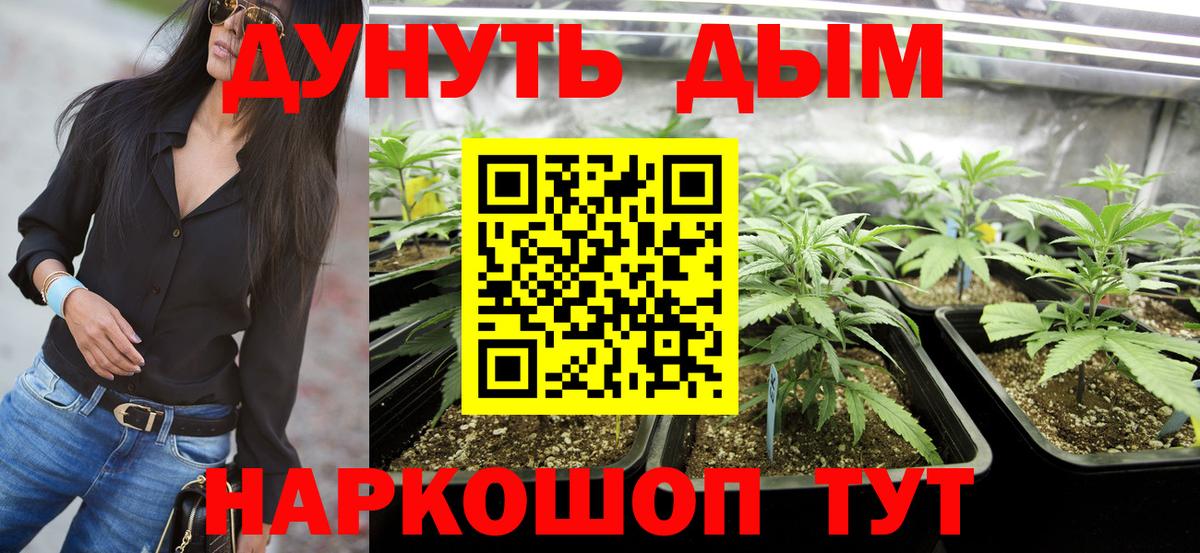 Шишки марихуана MAZAR  Конопля планчик  Вход с VPN  Канабис индика  Камышин  Шишки марихуана тримм 